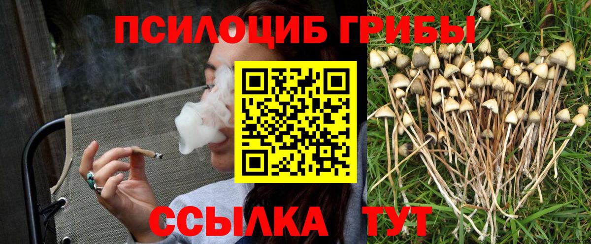 Псилоцибиновые грибы Psilocybe Мирный