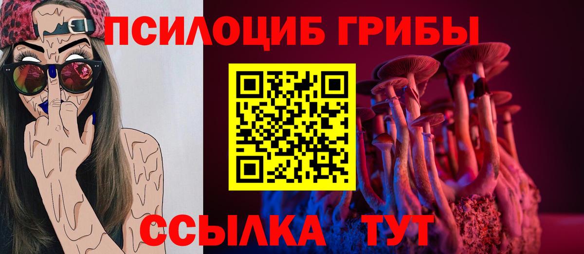Псилоцибиновые грибы Psilocybine cubensis  Вход с VPN  сколько стоит  Мирный 